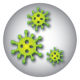 Collingwood Indoor Air Testing for Mold